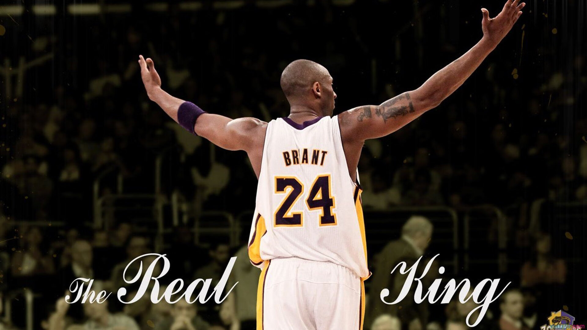 美洲杯激情四射：明星联袂演绎精彩！，美洲杯完整视频