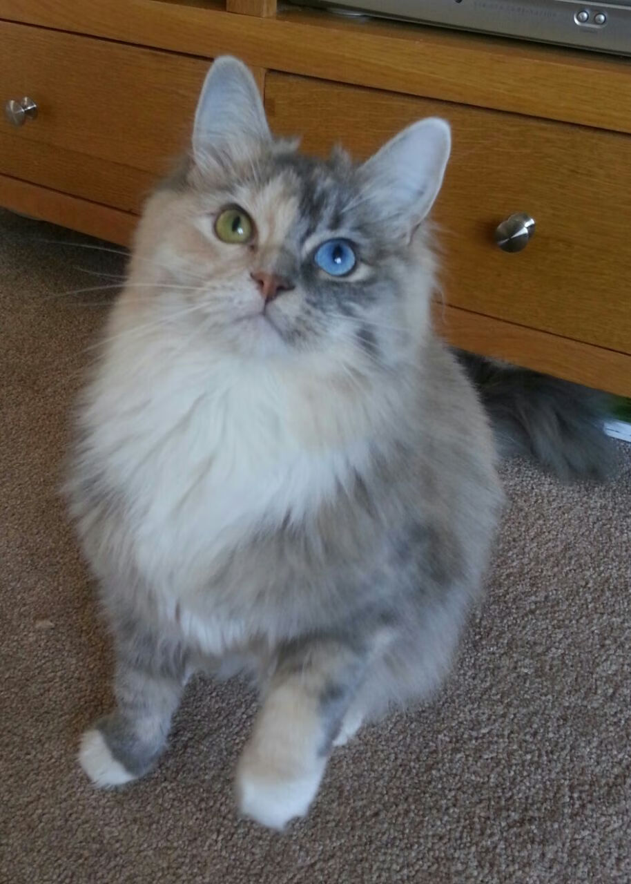 开云网站-“趣味冷知识：你不知道的NBA隐藏故事”，nba的秘密