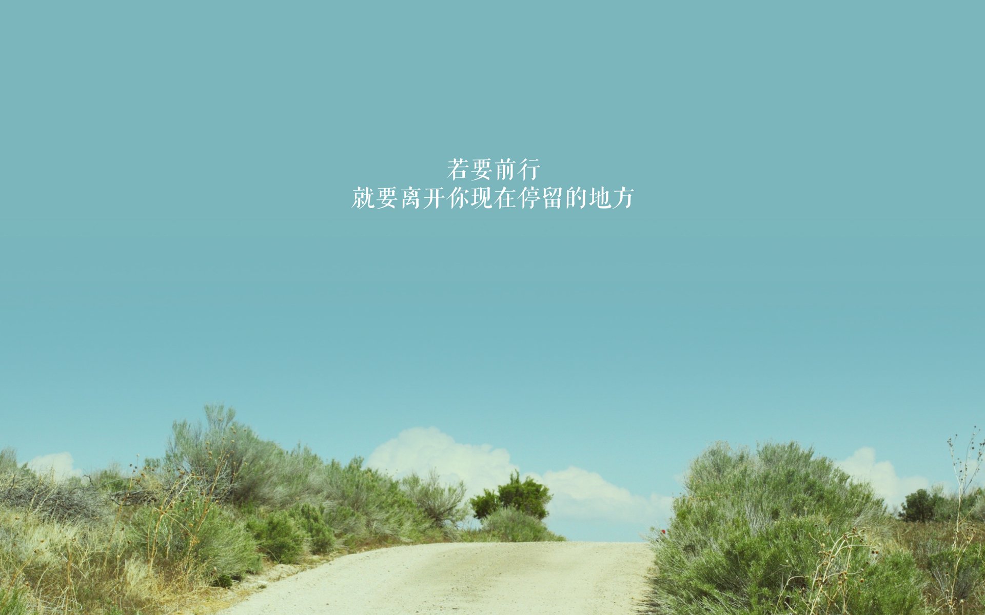 国家赛车队新赛季阵容公布，冲击世界冠军，国家赛车手排名